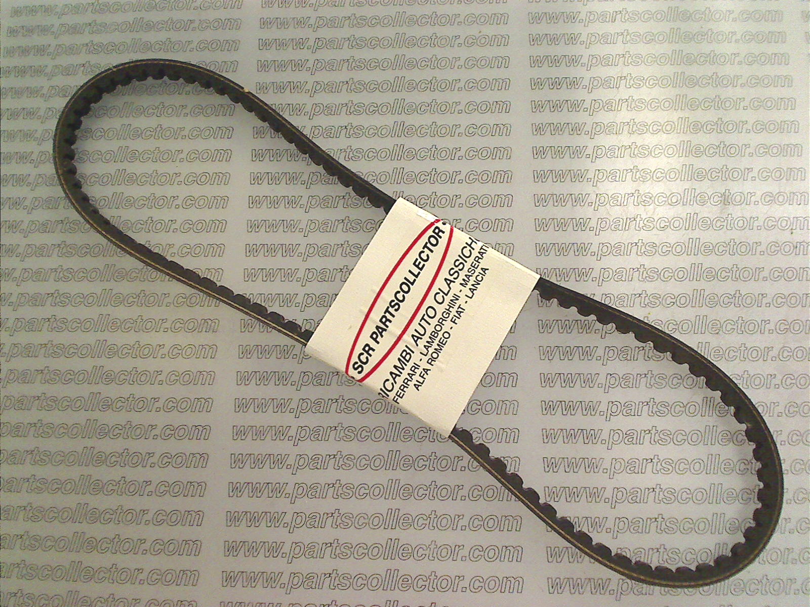 ALTERNATOR BELT